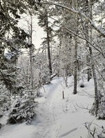 Восхождение на гору Пидан