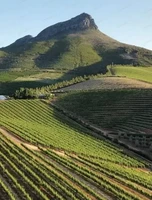 Дегустация "Южноафриканская палитра"