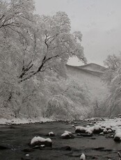 Зимнее путешествие к сердцу заповедника «Кедровая падь», п-ов Брюса и Теплое море (2 дня)