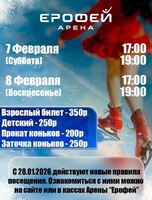 Катание на коньках в Арене "Ерофей"