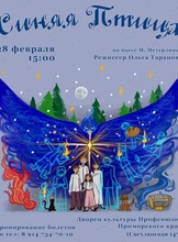 Инклюзивный спектакль «Синяя Птица»