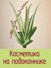 Мастер-класс «Косметика на подоконнике»