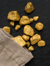 Всероссийский форум "Россыпное золото России: пути развития, регулирование, технологии"