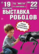 Выставка роботов и виртуальной реальности «Федерация роботов»