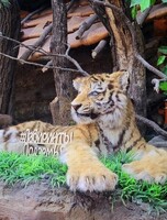 Обзорная экскурсия по "Лабиринтам Подземья"