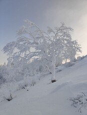 Восхождение на гору Таунга