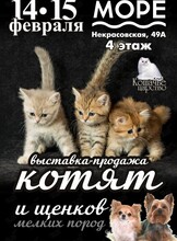 Выставка-продажа котят и щенков