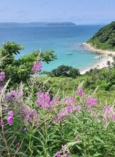 Тур «О. Фуругельма - самый южный остров в России»