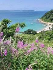 Тур «О. Фуругельма - самый южный остров в России»