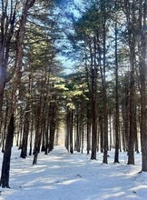 Тур «Хвойный ретрит: кедровый бор, скала Пржевальского, гора Брат и бассейн под открытым небом»