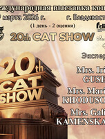 Международная выставка кошек. Ярмарка элитных котят