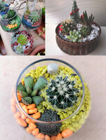 Мастер-класс в оранжерее «Флорариум»