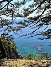 Джип-тур «Мыс Гамова»