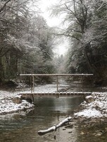 Настольная игра / инсталляция Сергея Иноземцева «Тайга 100 лет»