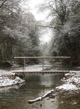 Настольная игра / инсталляция Сергея Иноземцева «Тайга 100 лет»