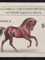 Выставка «Советский интерьер. История одного места»