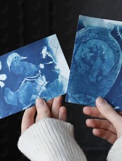 Мастер-класс «Цианотипия. Открытки на память»