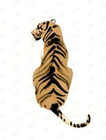 Познавательная программа «В гости к кошкам уссурийской тайги»