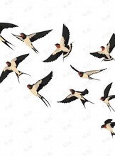 Познавательная программа «Встреча перелетных птиц»