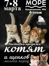 Выставка-продажа котят и щенков