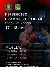 Первенство Приморского края по боксу среди юниоров 17–18 лет