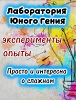 Лаборатория юного гения