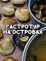 Морская экскурсия «Гастротур на островах и лежбище тюленей ларга»