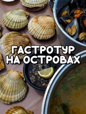 Морская экскурсия «Гастротур на островах и лежбище тюленей ларга»