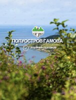 Джип-тур на полуостров Гамова, б. Теляковского, б. Астафьева