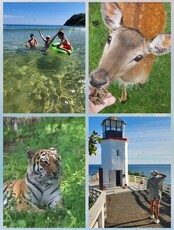 Однодневный тур в Сафари-парк + пляжный отдых в Ливадии