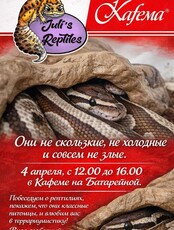 Рептоквартирник: влюбляем в террариумистику