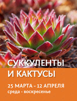 Выставка в оранжерее «Суккуленты и кактусы»