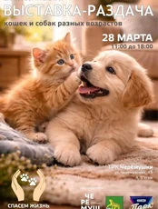 Благотворительная выставка-раздача бездомных животных