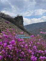 Тур «Конная прогулка и ущелье Дарданеллы»