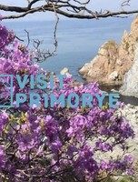 Тур «Каменная сказка у моря рододендронов» (мыс Пасека и сад Энеси)