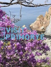 Тур «Каменная сказка у моря рододендронов» (мыс Пасека и сад Эниси)