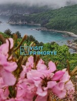 Тур «Рододендроны на Хасане»