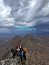 Тур «Рододендроны Чандолаза – история древнего рифа…»