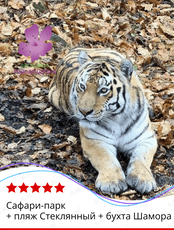 Тур «Сафари-парк + пляж Стеклянный + бухта Шамора» (фестиваль рододендрона)