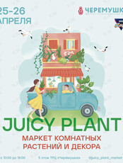 Маркет комнатных растений и декора Juicy Plant