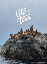 Тур «Остров Путятина + сивучи»