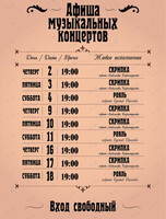 Музыкальные концерты