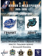 Матч турнира «Кубок Федерации». 1/4 плей-офф: Гранит – ДВФУ