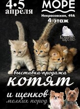 Выставка-продажа котят и щенков