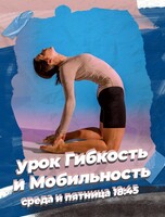Занятия по направлению «Урок гибкости и мобильности»