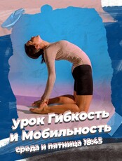 Занятия по направлению «Урок гибкости и мобильности»