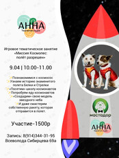 Тематическое игровое занятие «Миссия «Космопес»: полет разрешен» для детей 5-9 лет