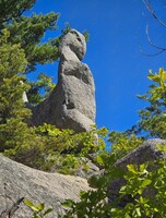 Тур в Парк Драконов