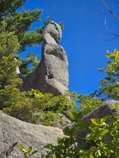 Тур в Парк Драконов