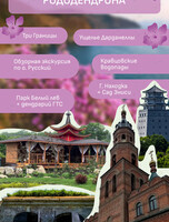 Фестиваль рододендрона: экскурсии